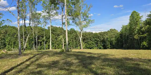 80+/- AC Red Hill Rd