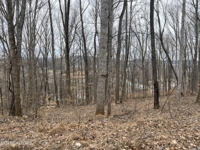 147 Chestnut Hill Rd Rd