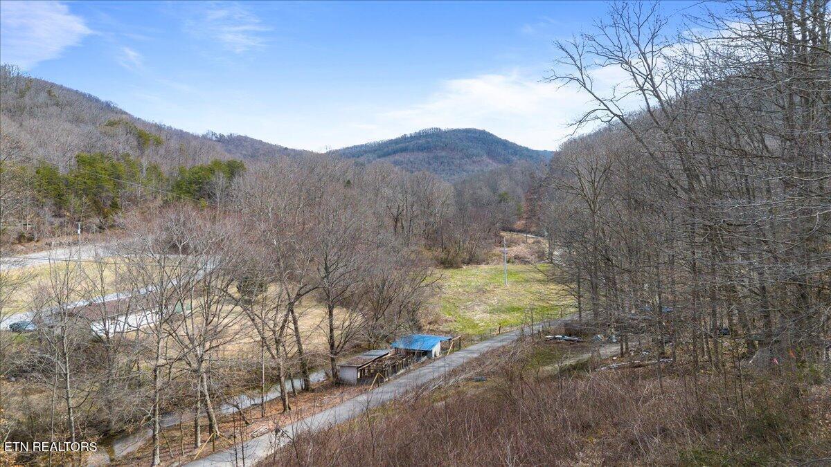 Image 2: 02-Straight Fork Rd