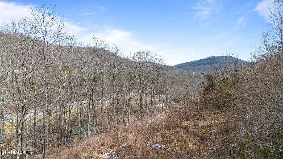 Image 3: 03-Straight Fork Rd