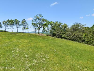 00 Lot 9 & 10 Big Neck Rd
