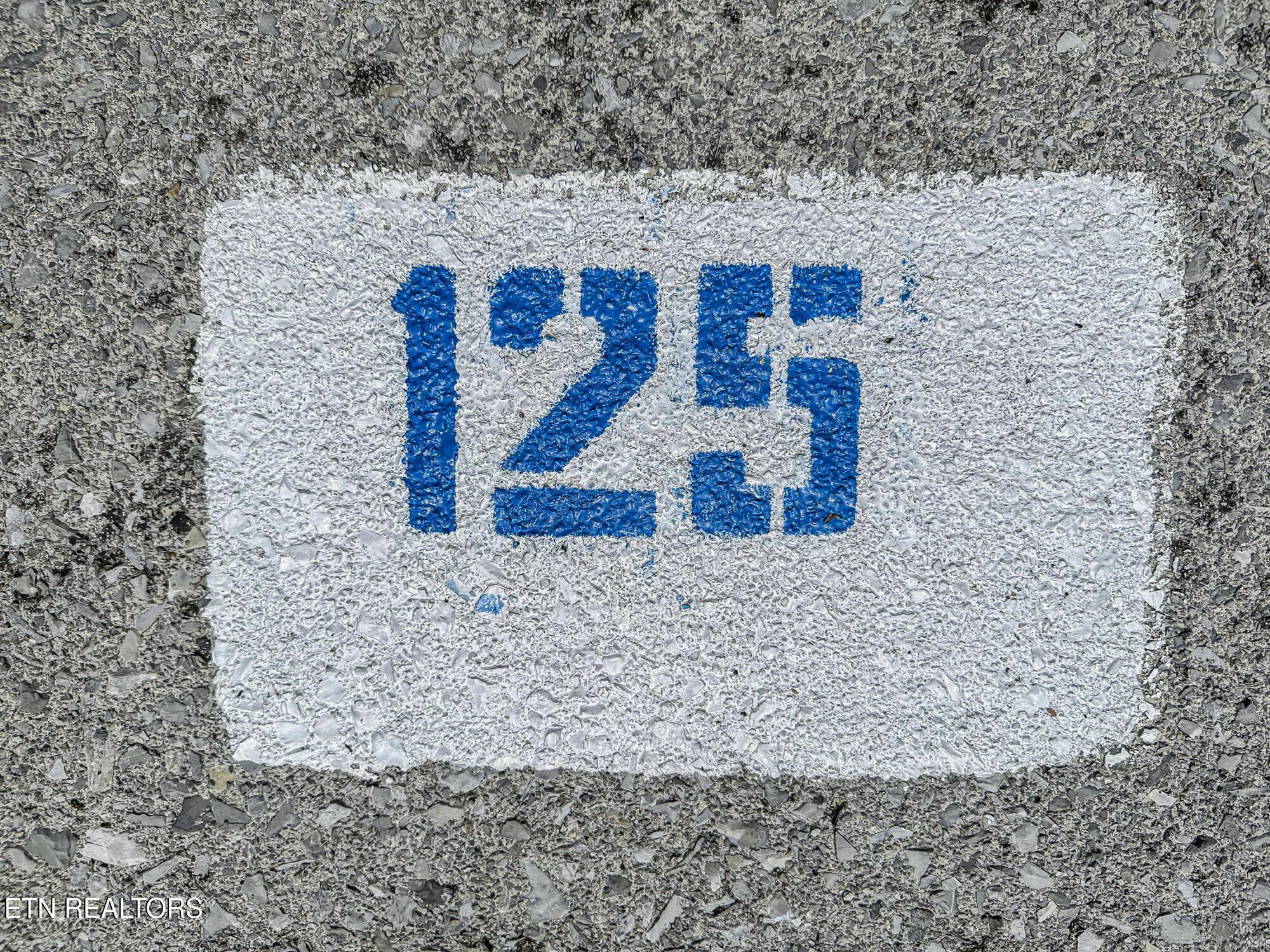 Image 3: Lot 125