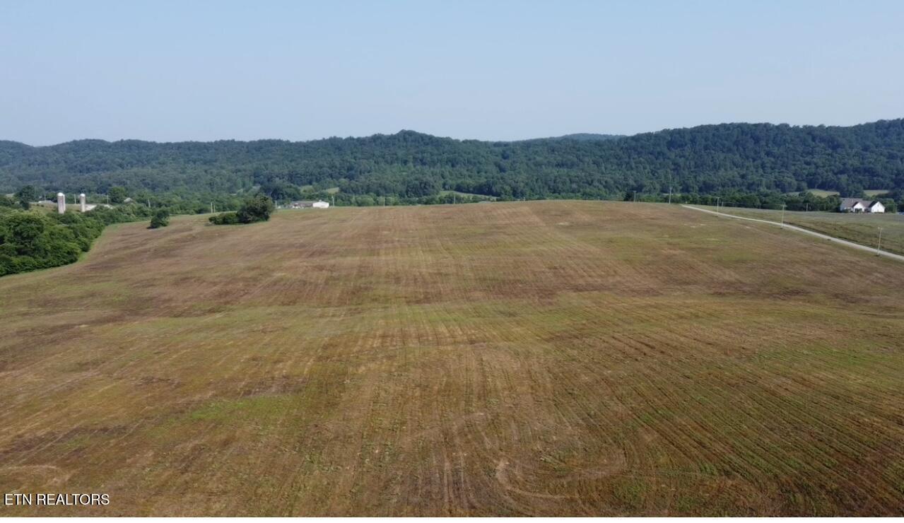 Image 1: Image 6