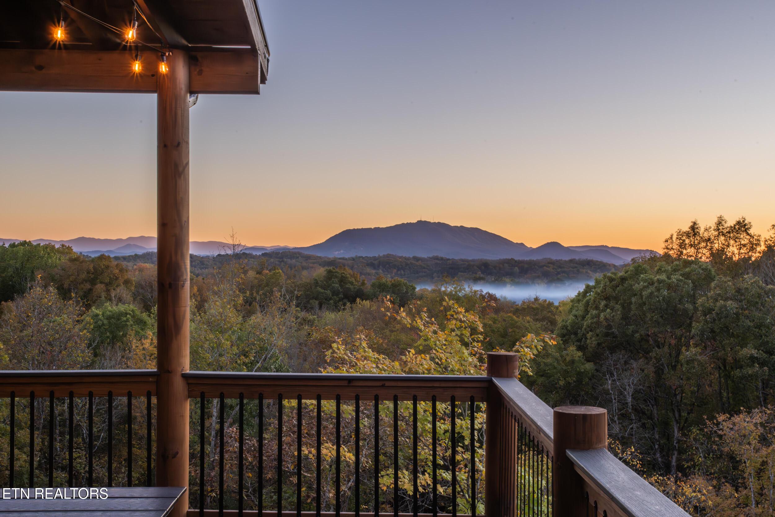 Image 4: DSC07644-Enhanced-NR