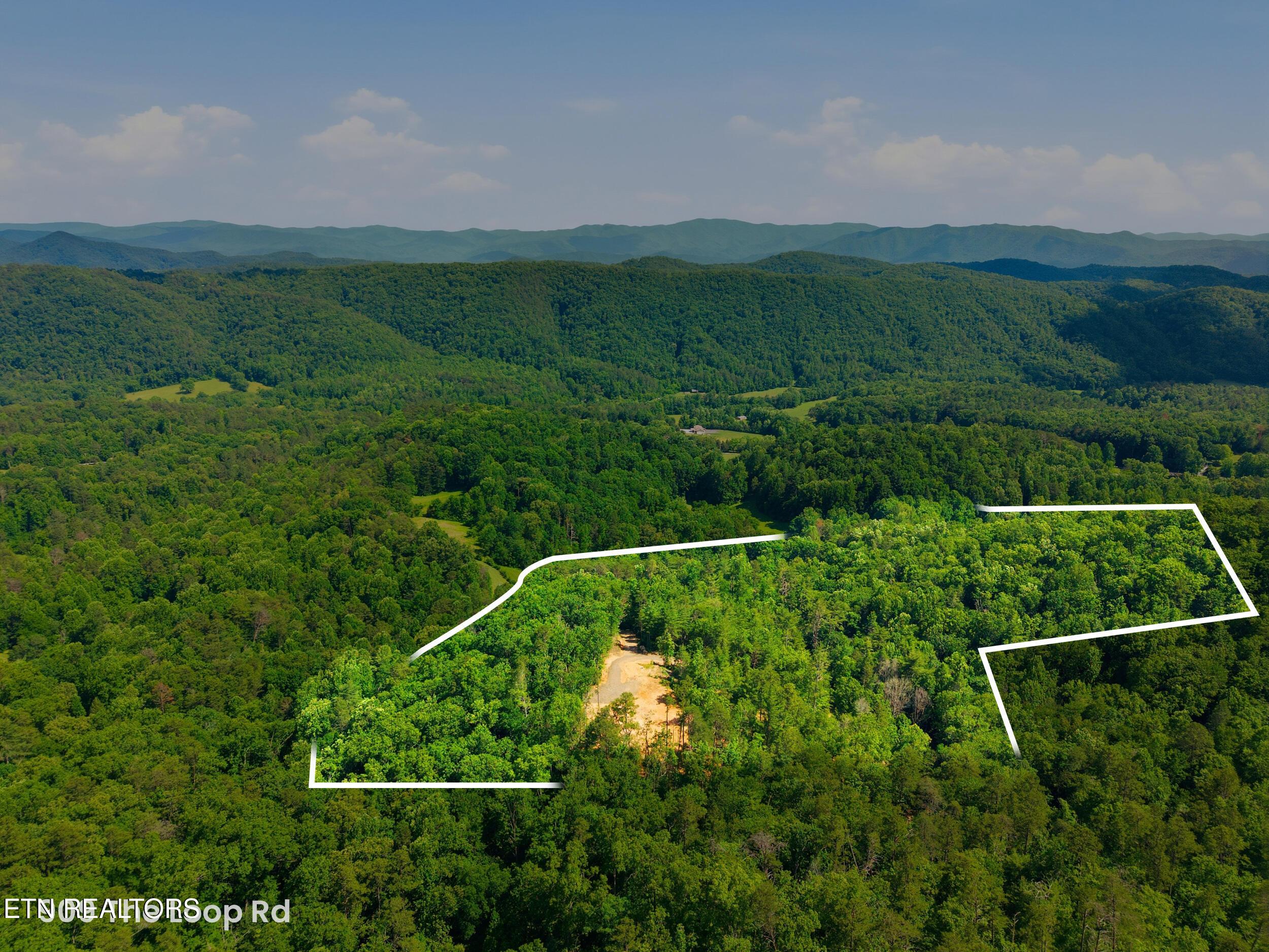 Image 3: 5_909_the_loop_rd_0003 - property line