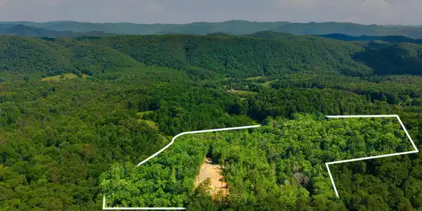 Image 3: 5_909_the_loop_rd_0003 - property line