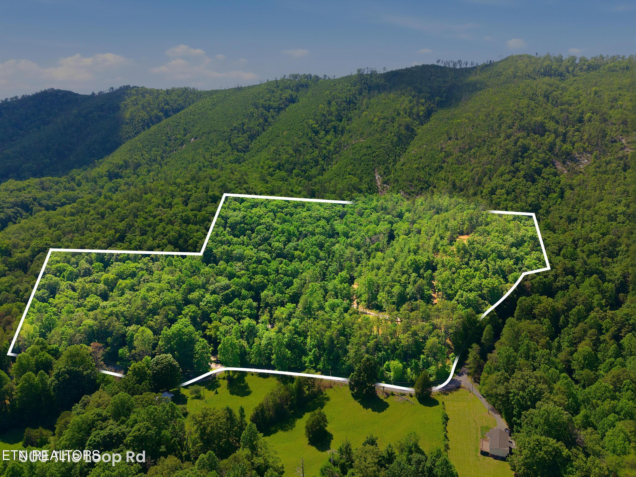 Image 4: 3_909_the_loop_rd_0002 - property line