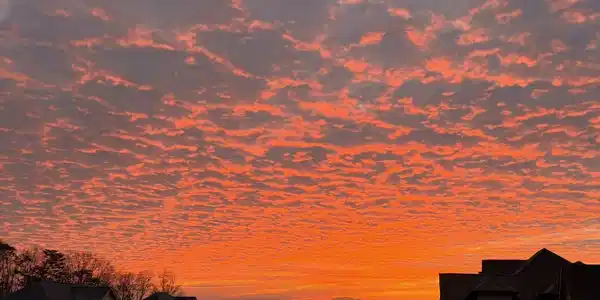 Image 4: Sunset