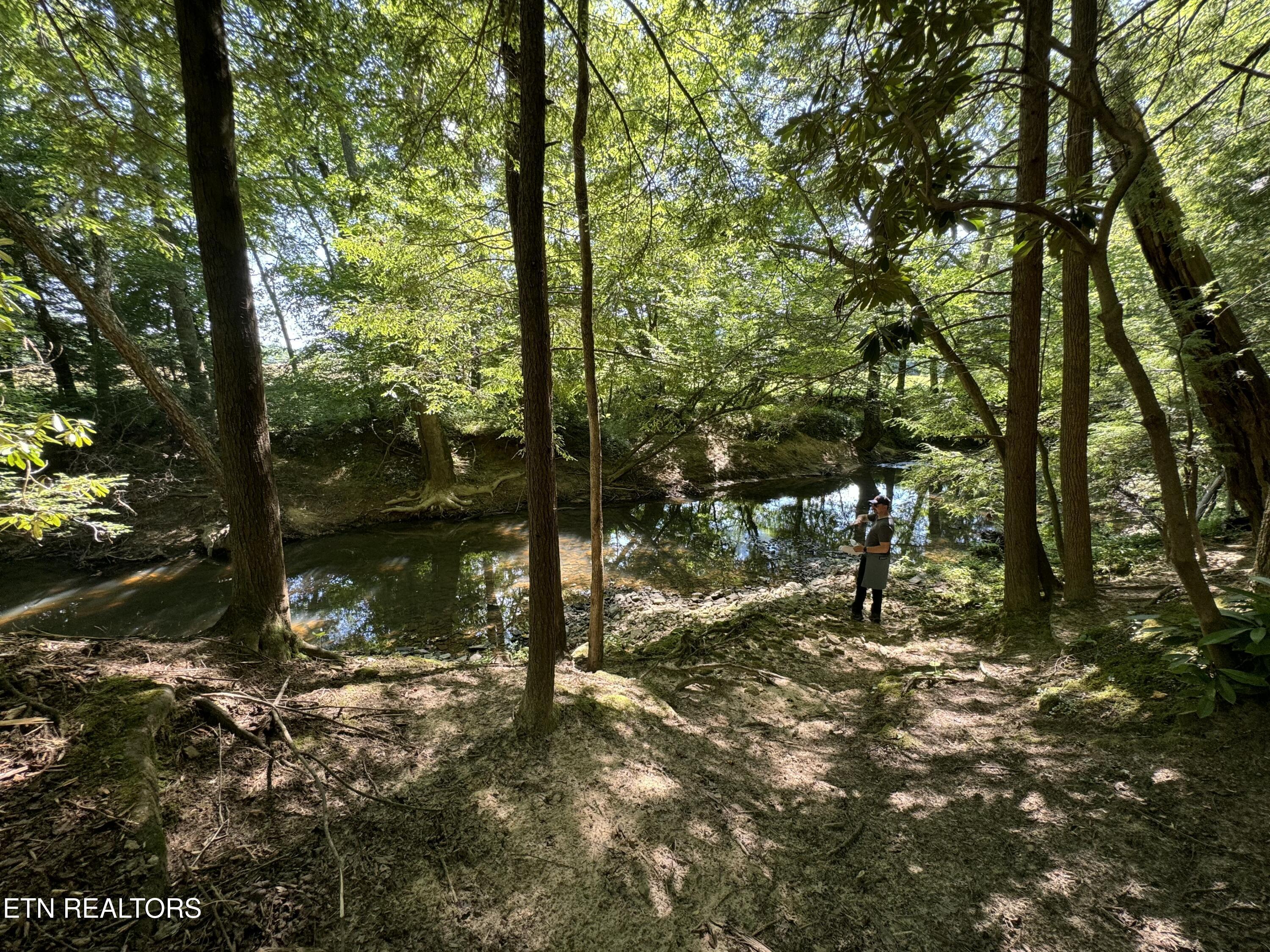 Image 2: IMG_0532