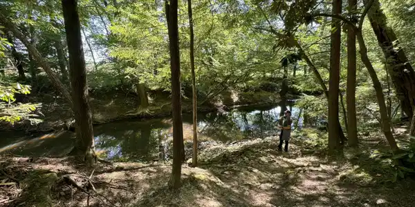 Image 2: IMG_0532