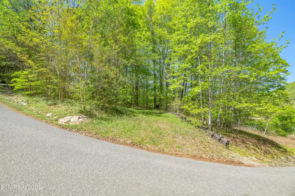 Image 1: Lot 51 S Shorewood Dr 3