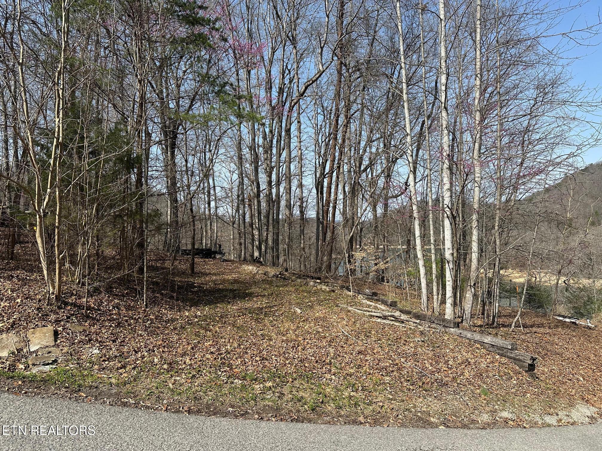 Image 2: 2026 Lot 51 Road