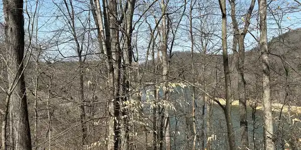 Image 3: 3Lake View (2) Lot 51 031326