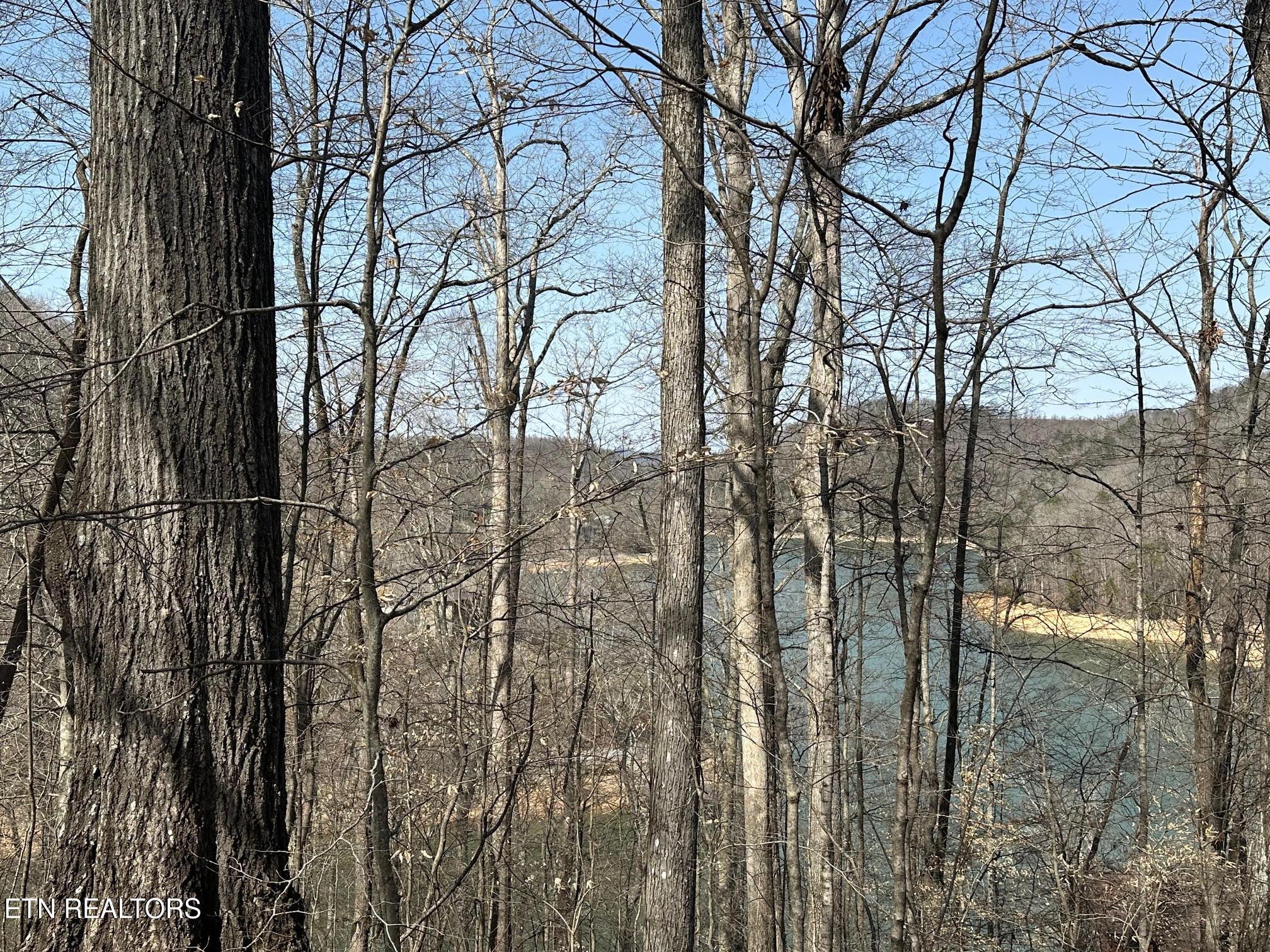 Image 4: Lake View (2) Lot 51 031326