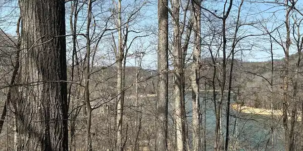 Image 4: Lake View (2) Lot 51 031326