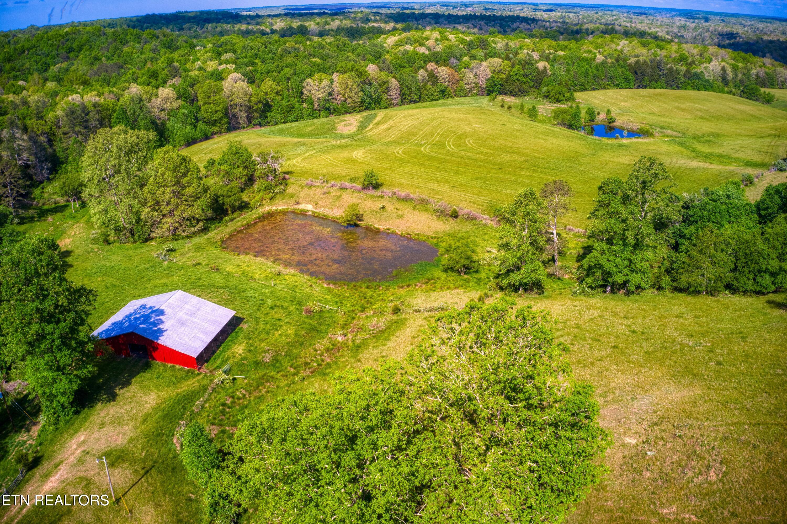 Image 3: DJI_0688
