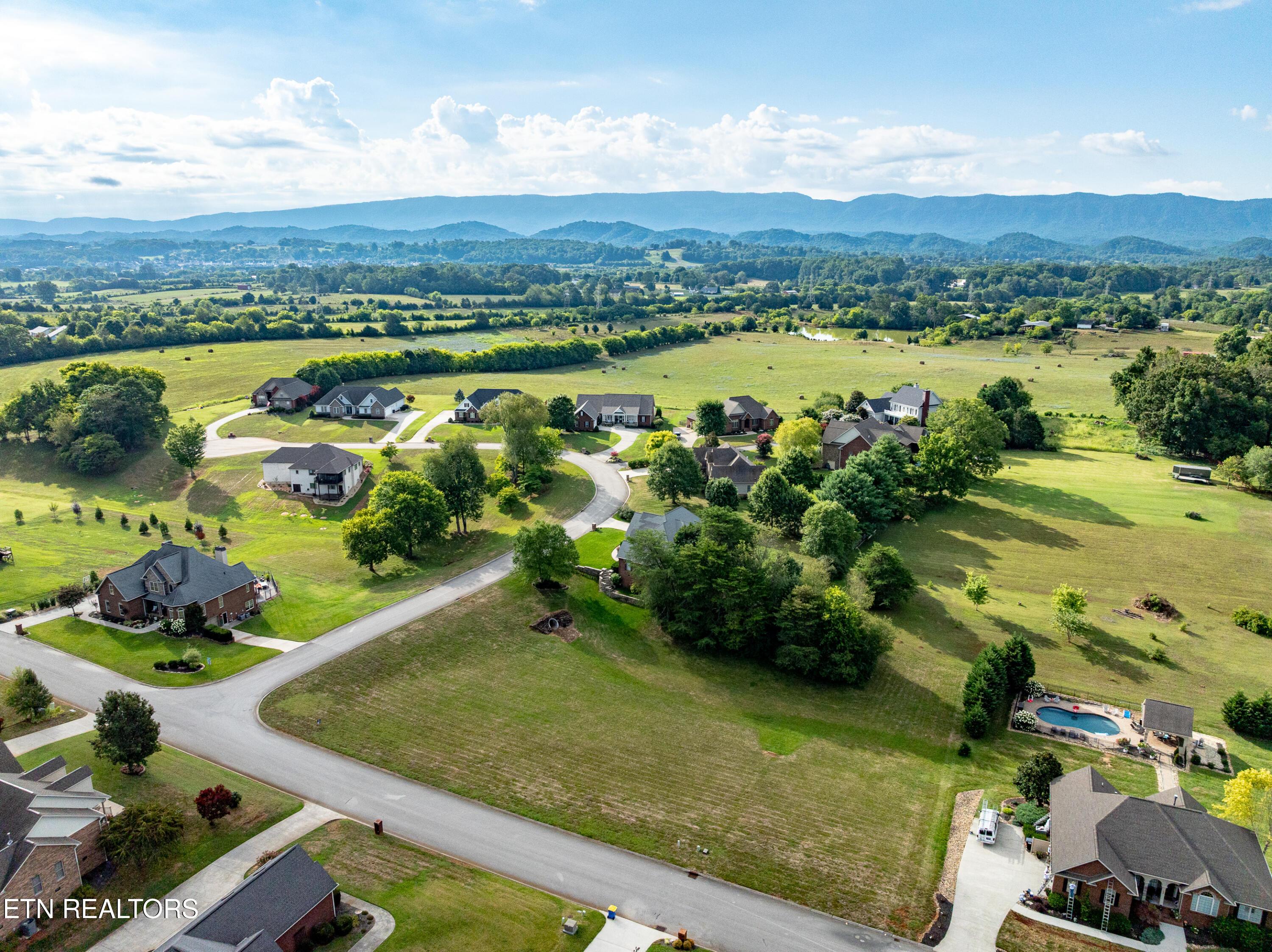 Image 4: DJI_0604