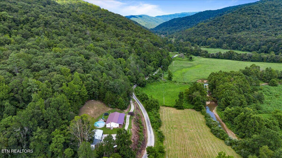 Image 2: 44-Smokey Creek