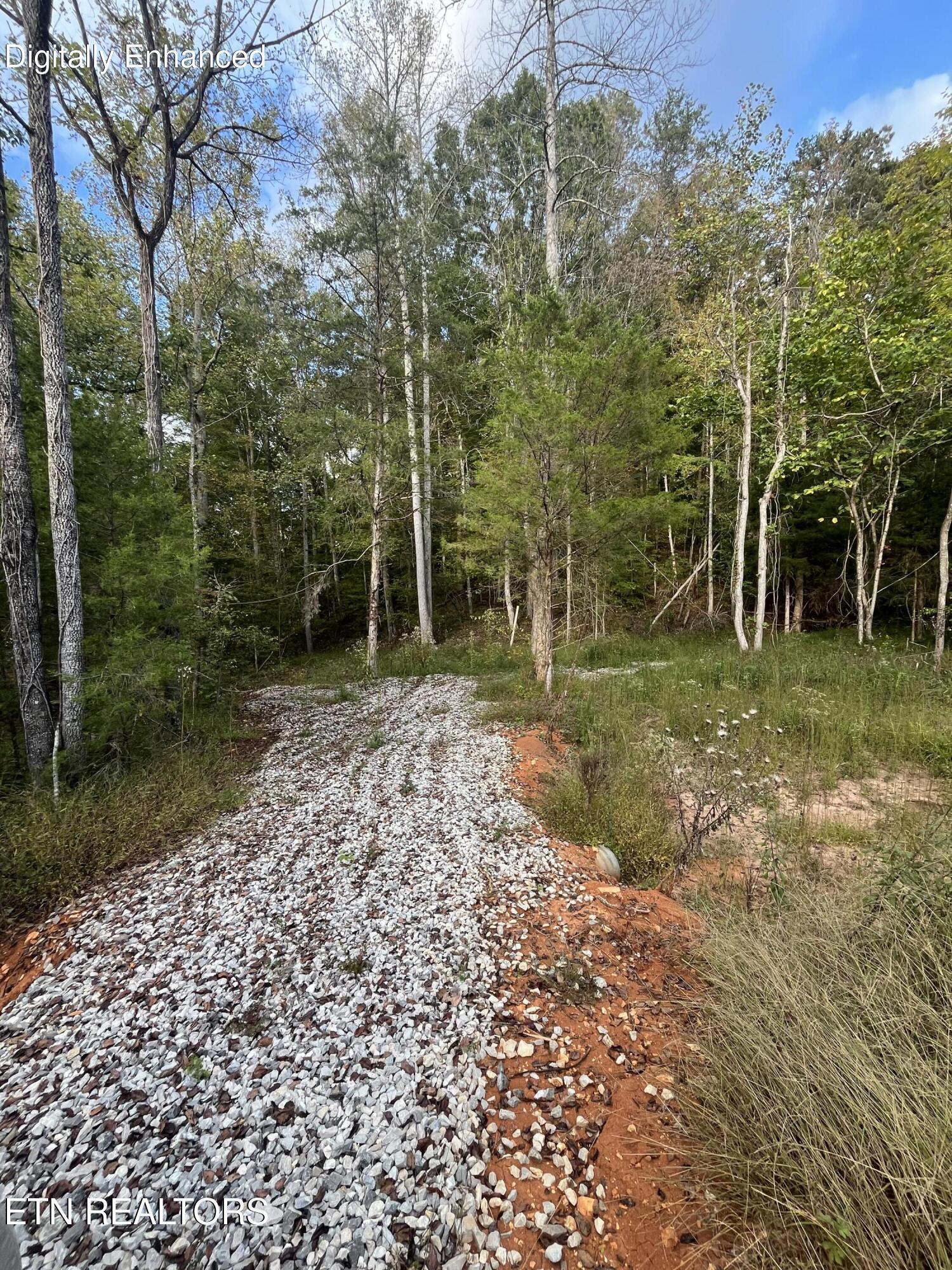 Image 2: IMG_7328
