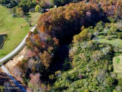 2036 Helenwood Detour Rd