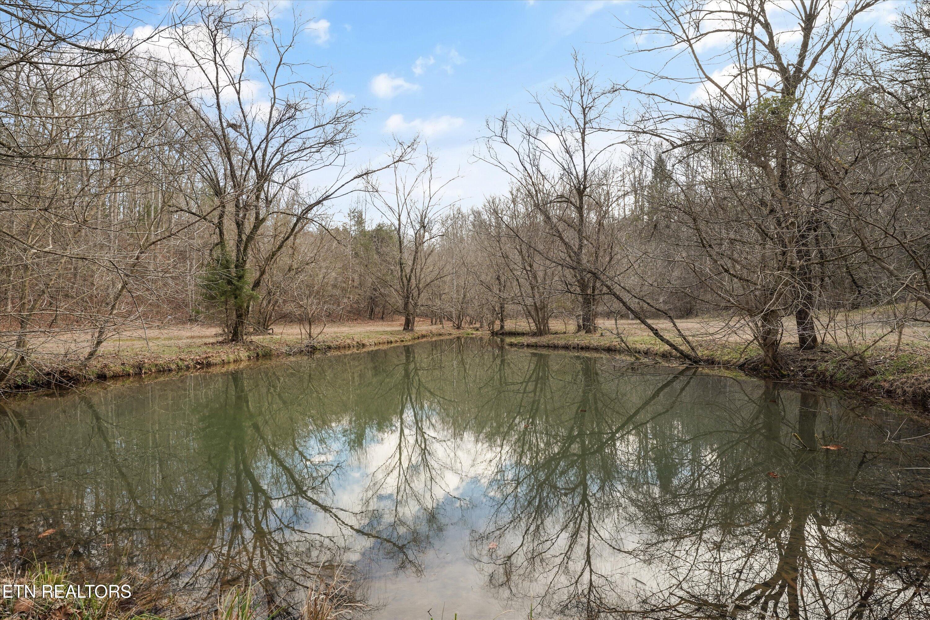 Image 3: 55-124 Lindsey Cemetery Rd119