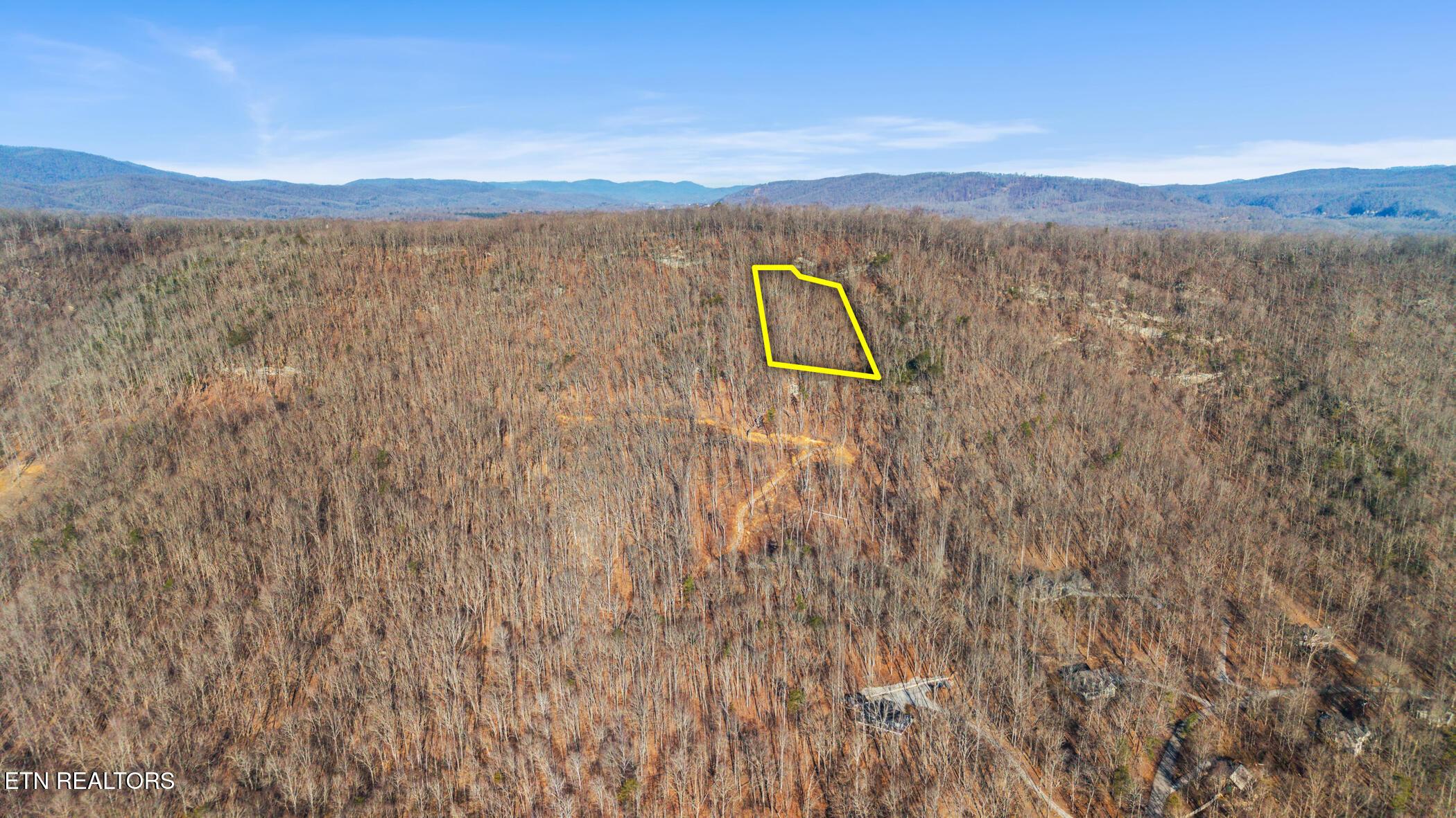 Image 2: dji_20260212092523_0331_d_lot3