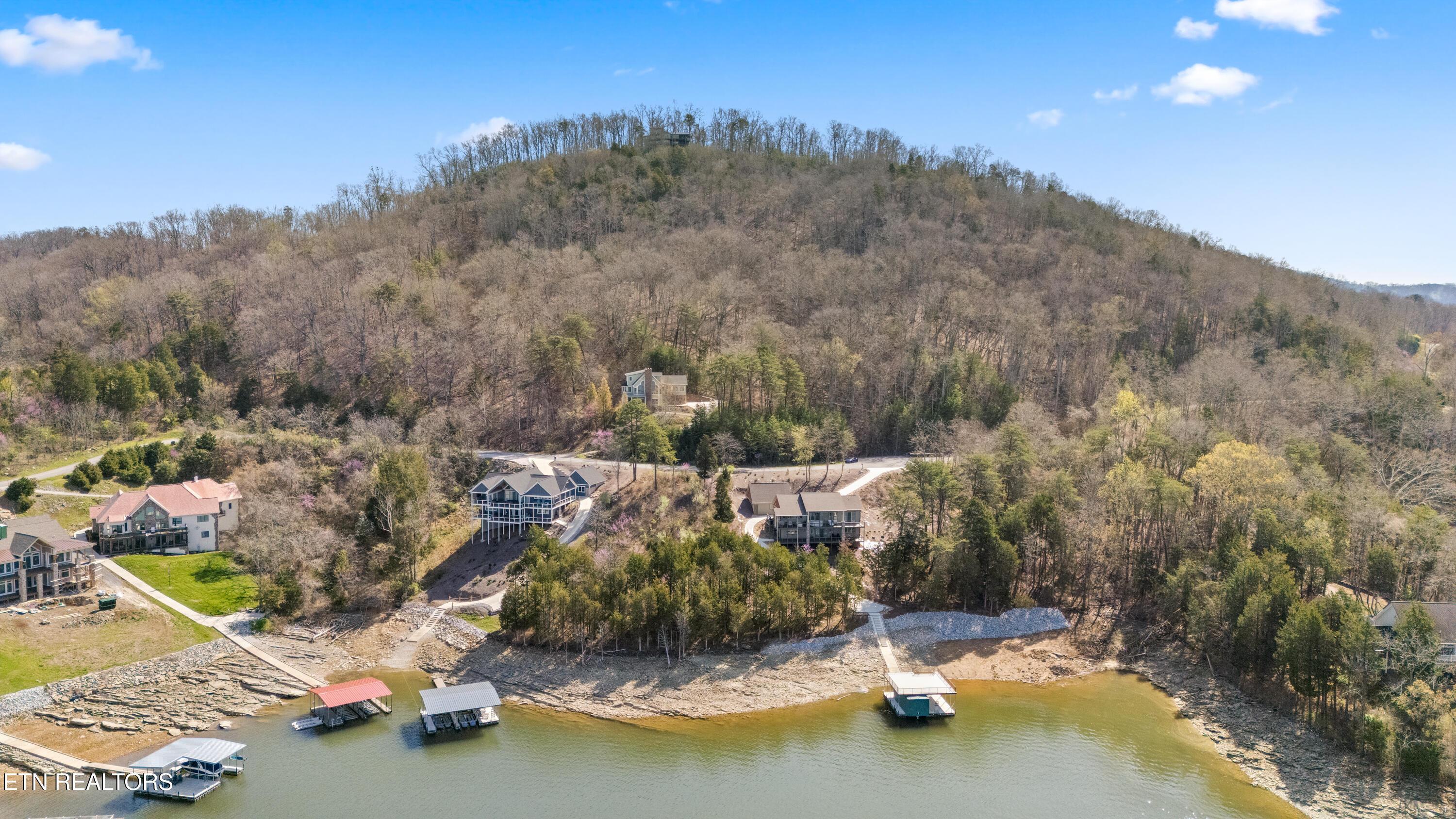 Image 4: Aerial from lake