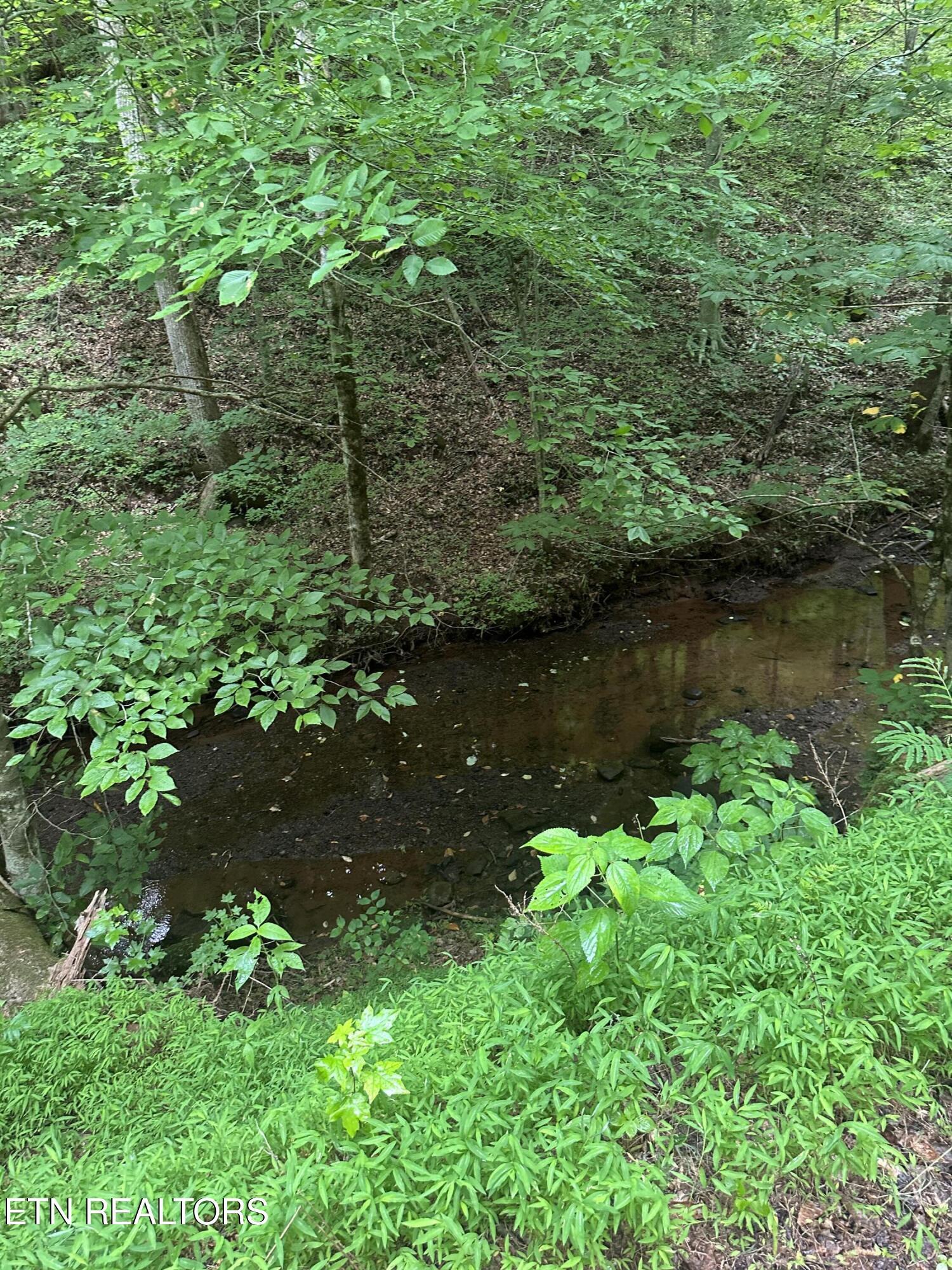 Image 4: IMG_8896