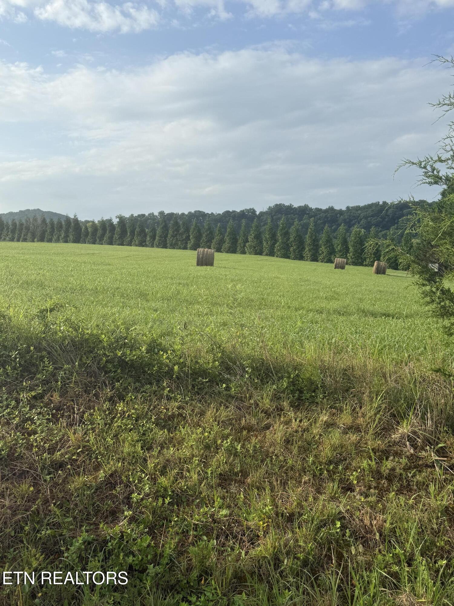 Image 3: IMG_6647