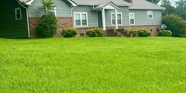 Image 2: Front Yard