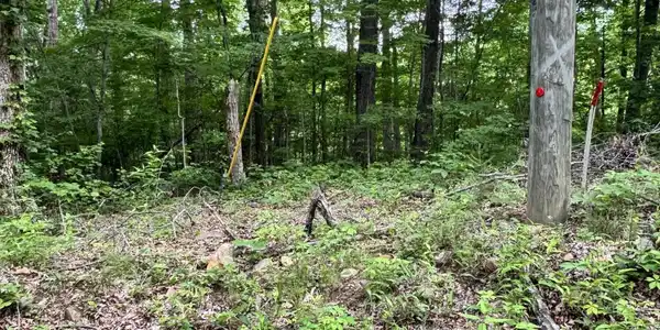 Image 2: IMG_4901