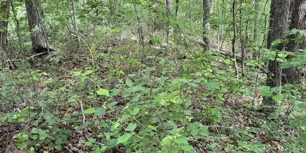 Image 3: IMG_4898