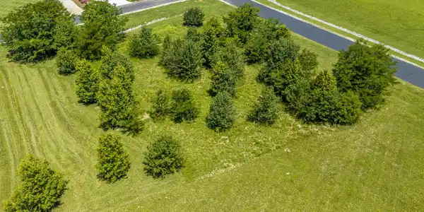 Image 4: DJI_20260702122255_0304_D-HDR