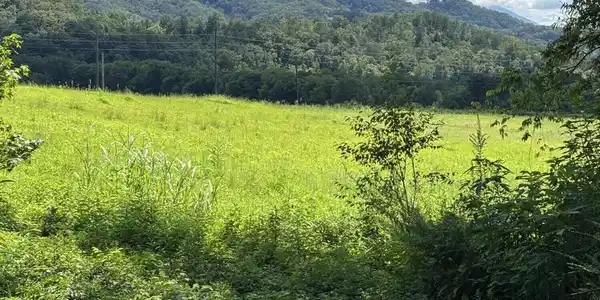 Image 3: canuppPic