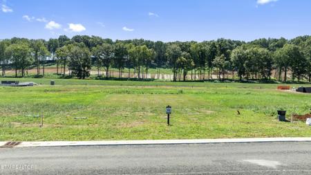 980 Black Bear Circle