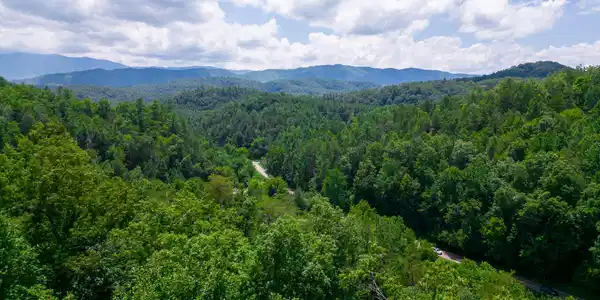 Jones Cove