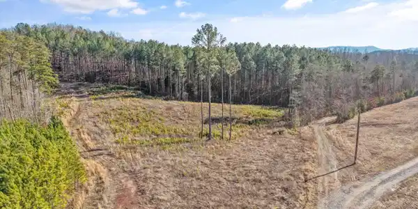 235 Bill Moser Rd