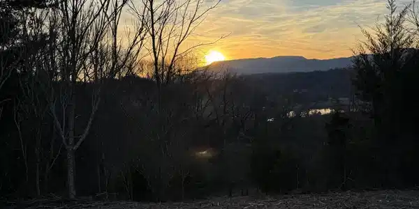 Hidden Mountain Way