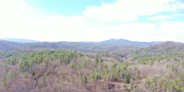 Image 3: DJI_0236