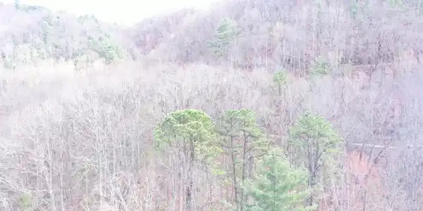 Image 4: DJI_0229