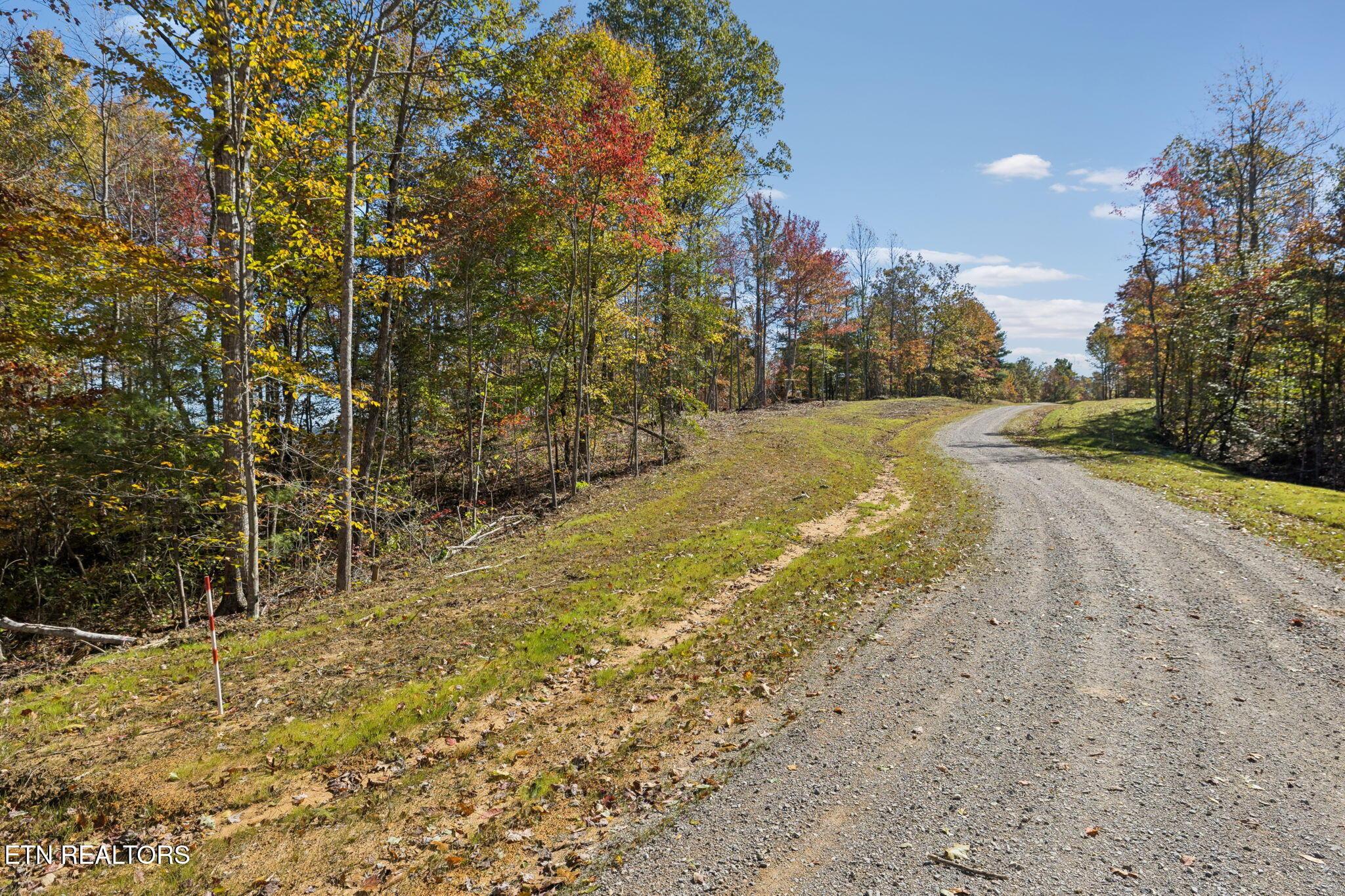 Image 4: 2-Sheep Ranch Rd 002