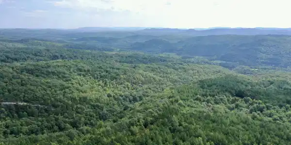 Image 4: 4