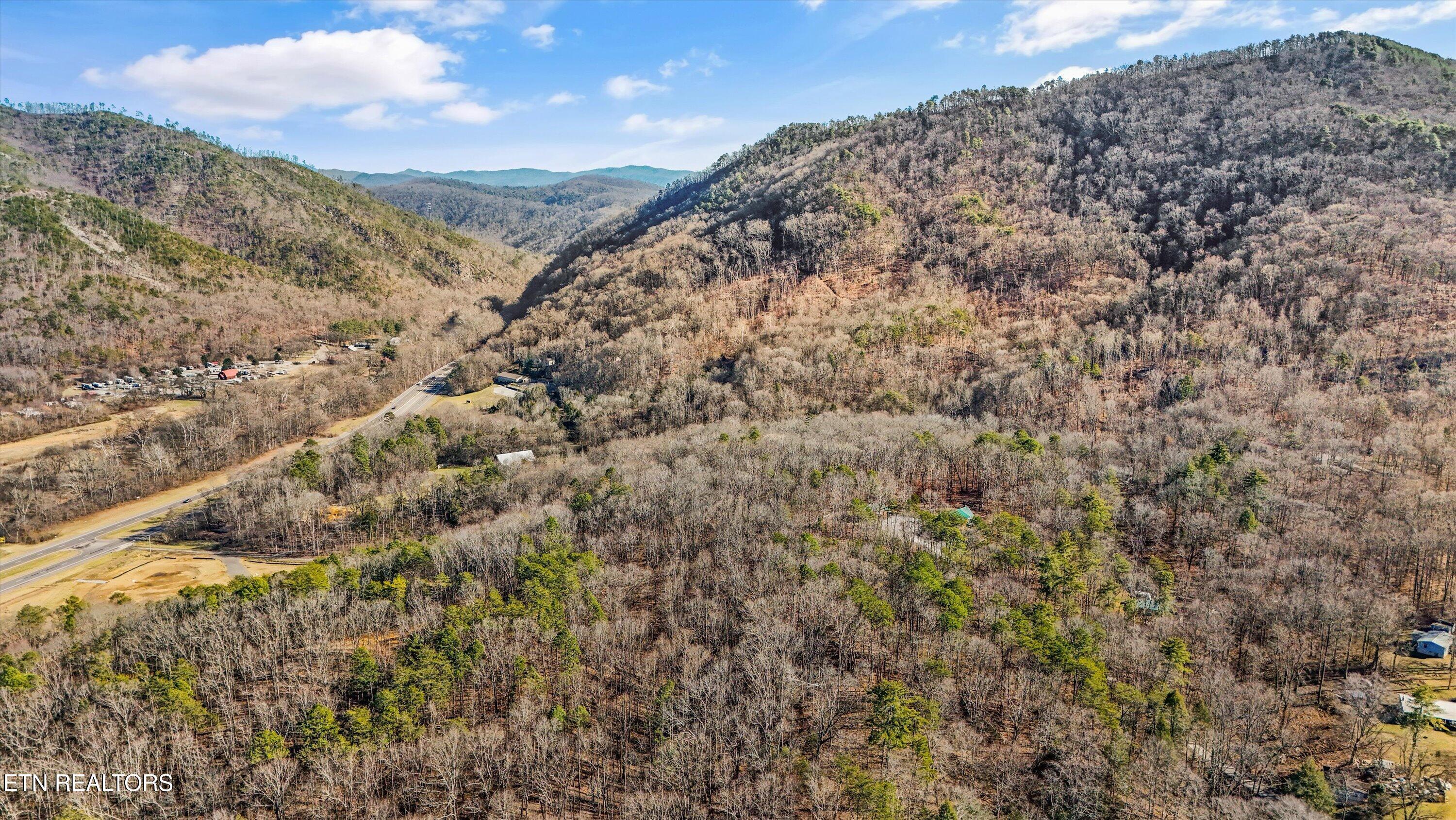 Image 4: 10-Charles Young Rd08
