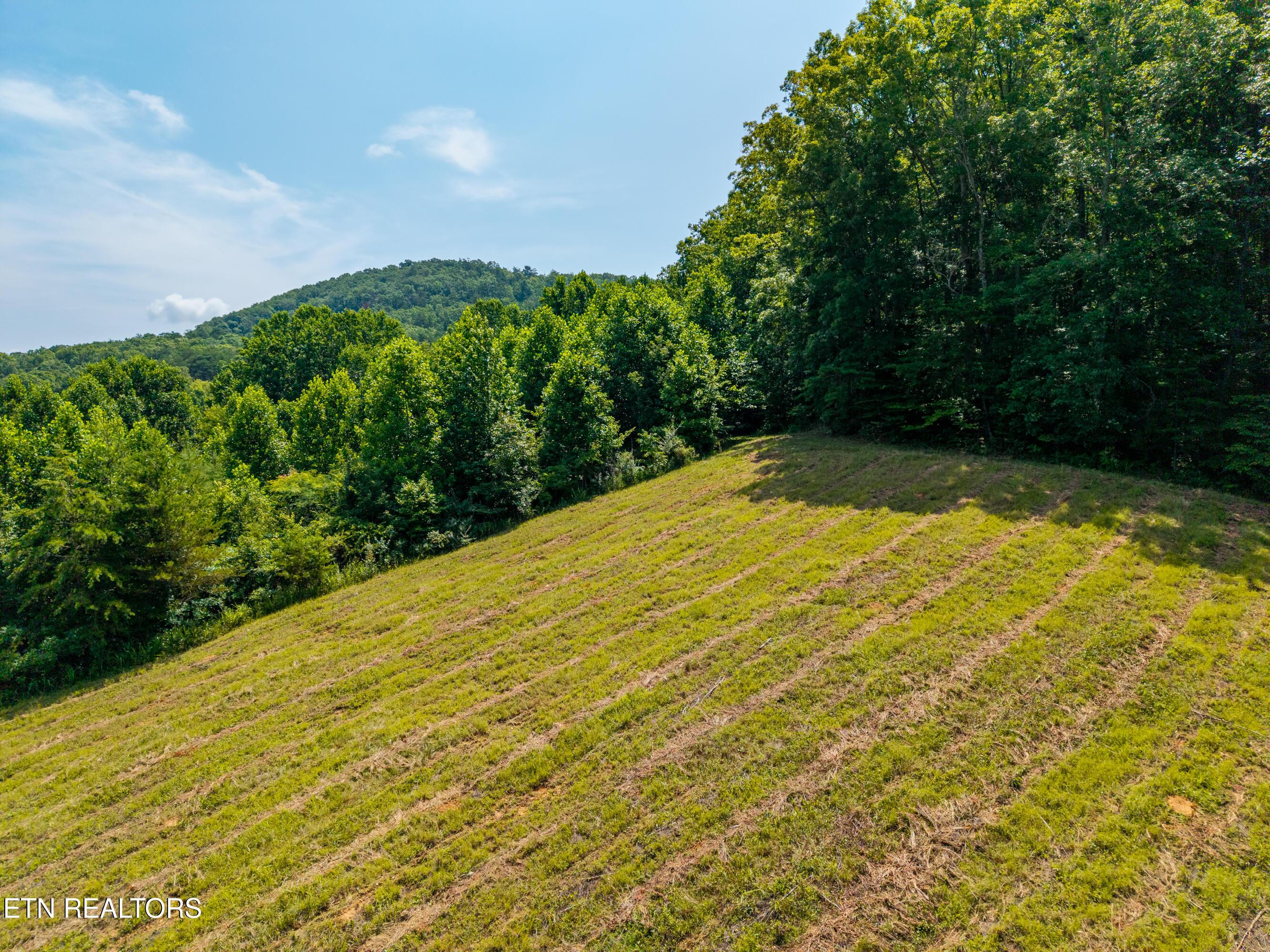 Image 3: Mountain Views