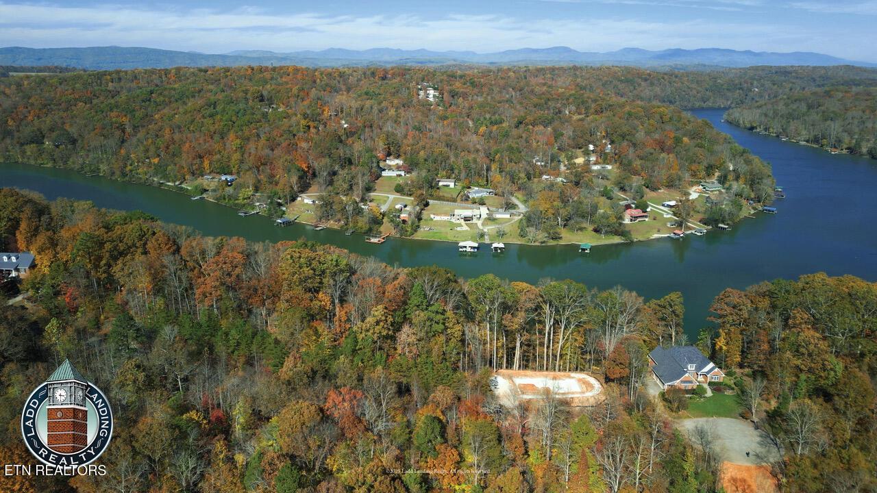 Image 3: Sheerwater3
