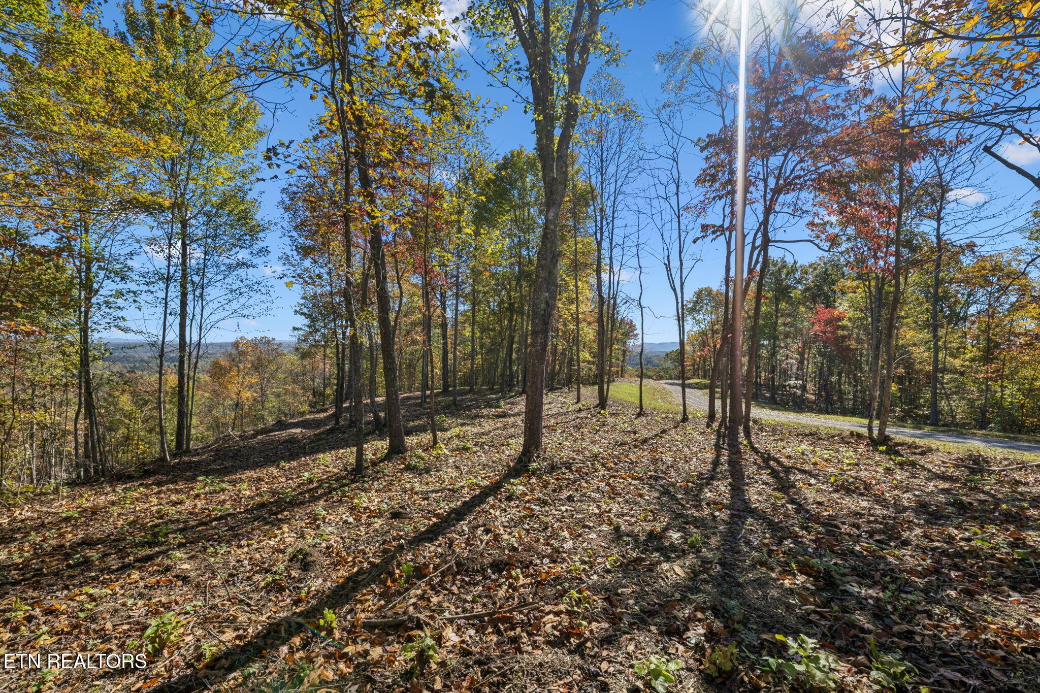 Image 2: 3-Sheep Ranch Rd - 3 003