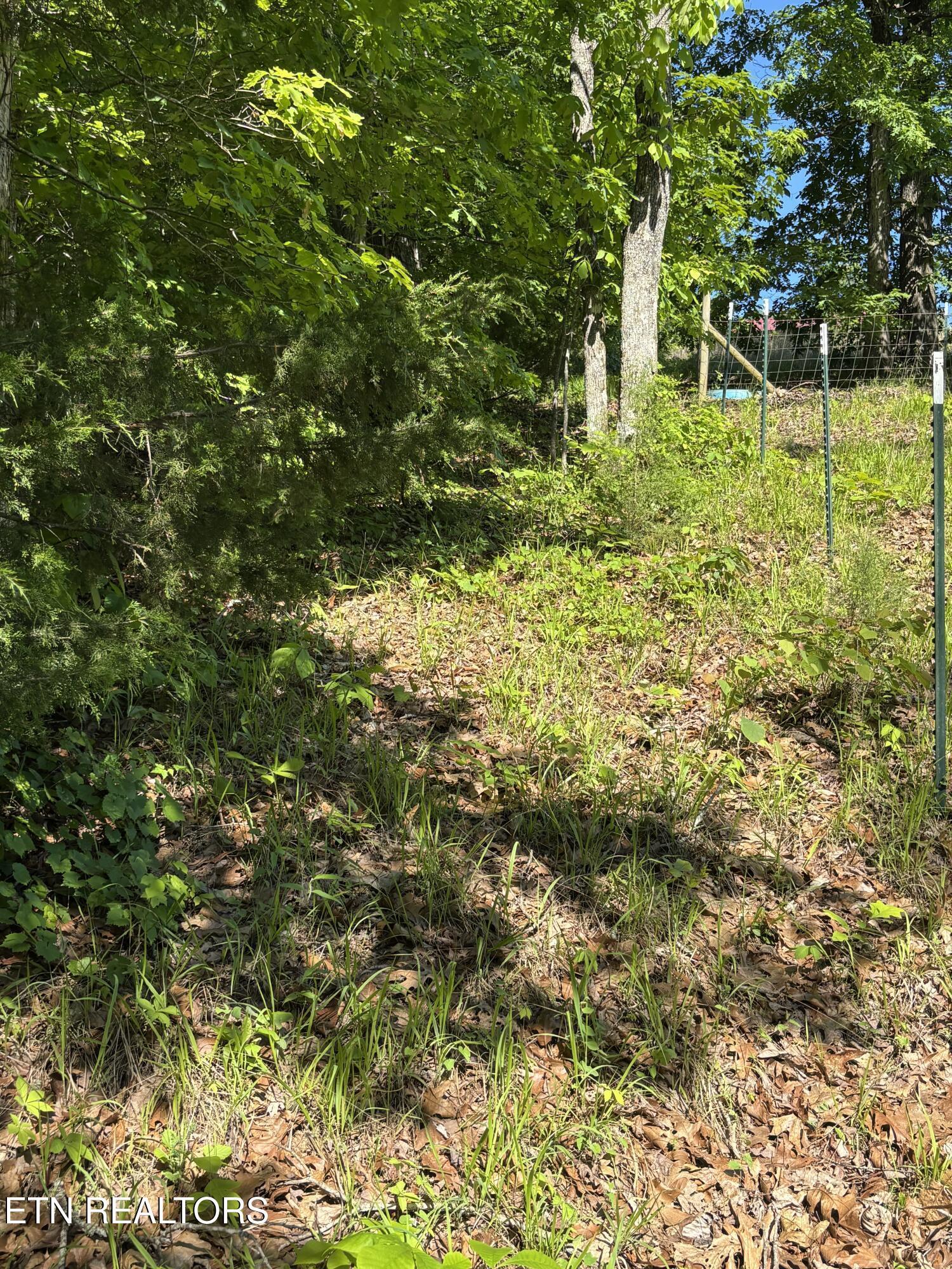 Image 2: 2