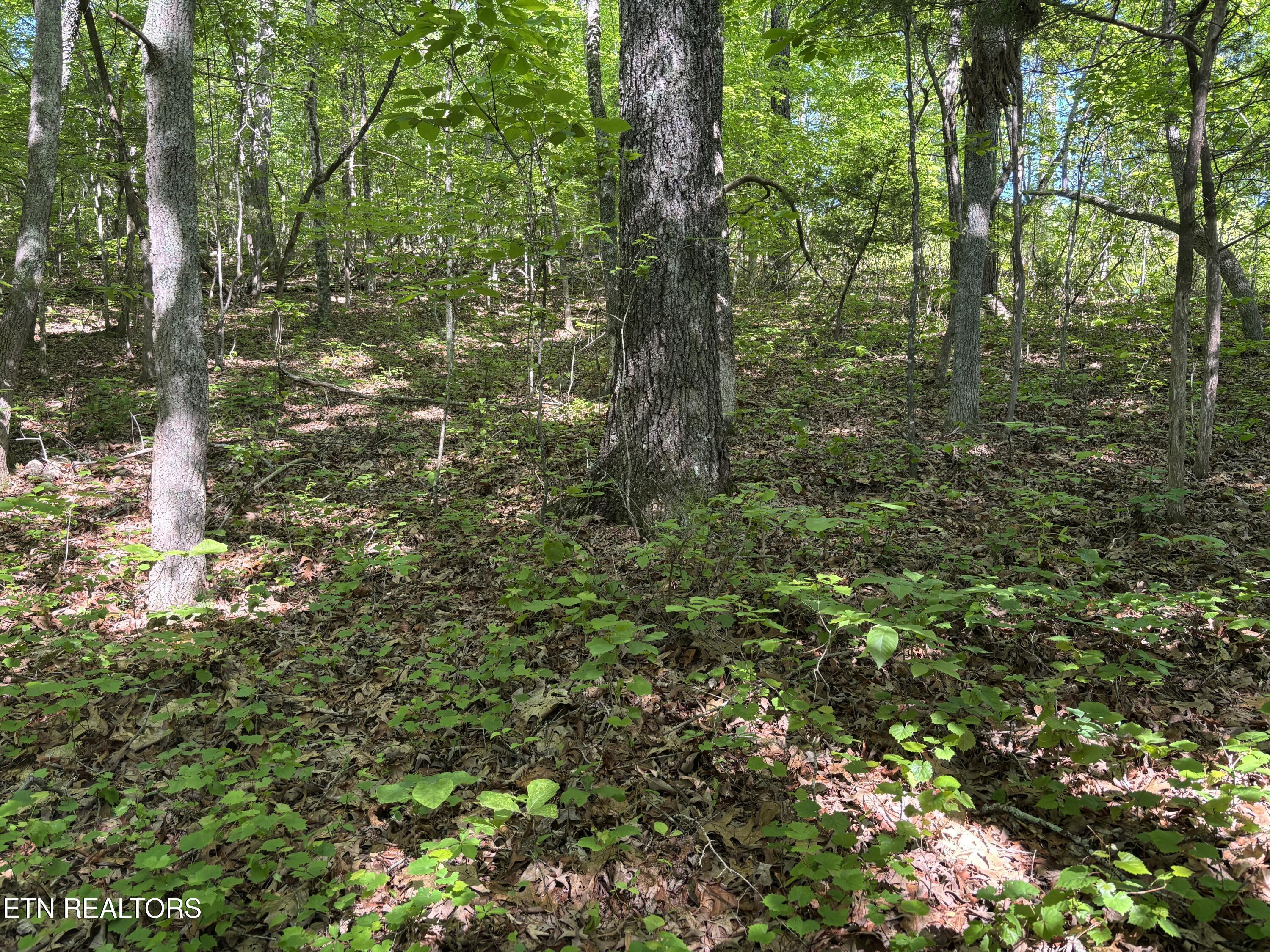 Image 3: 3