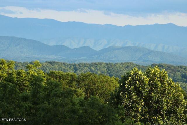 Image 3: Mountain View