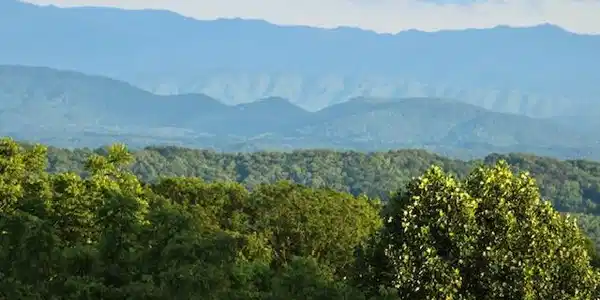 Image 3: Mountain View